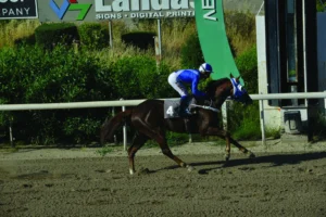 ΙΠΠΟΔΡΟΜΟΣ ΚΥΠΡΟΣ / IPPODROMOS KYPROS ΣΑΝ ΧΟΖΕ - 29/04/2026