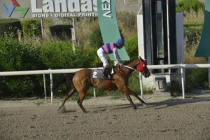 ΙΠΠΟΔΡΟΜΟΣ ΚΥΠΡΟΣ / IPPODROMOS KYPROS ΤΑΡΑΣ ΡΟΥΤ 26/04/2026