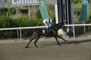 ΙΠΠΟΔΡΟΜΟΣ ΚΥΠΡΟΣ / IPPODROMOS KYPROS