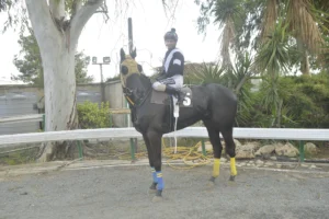 ΙΠΠΟΔΡΟΜΟΣ ΚΥΠΡΟΣ / IPPODROMOS KYPROS ΠΕΡΙΠΤΕΡΑΣ ΑΘΩΣ - 19/04/2026