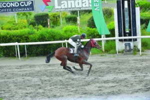 ΙΠΠΟΔΡΟΜΟΣ ΚΥΠΡΟΣ / IPPODROMOS KYPROS ΑΡΛΕΚΙΝΟΣ - 05/04/2026