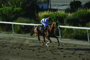 ΙΠΠΟΔΡΟΜΟΣ ΚΥΠΡΟΣ / IPPODROMOS KYPROS ΕΛΙΚΩΝΑΣ - 29/04/2026