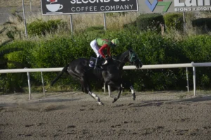 ΙΠΠΟΔΡΟΜΟΣ ΚΥΠΡΟΣ / IPPODROMOS KYPROS ΦΥΤΟΣ ΕΗΝΤΖΕΛ 26/04/2026