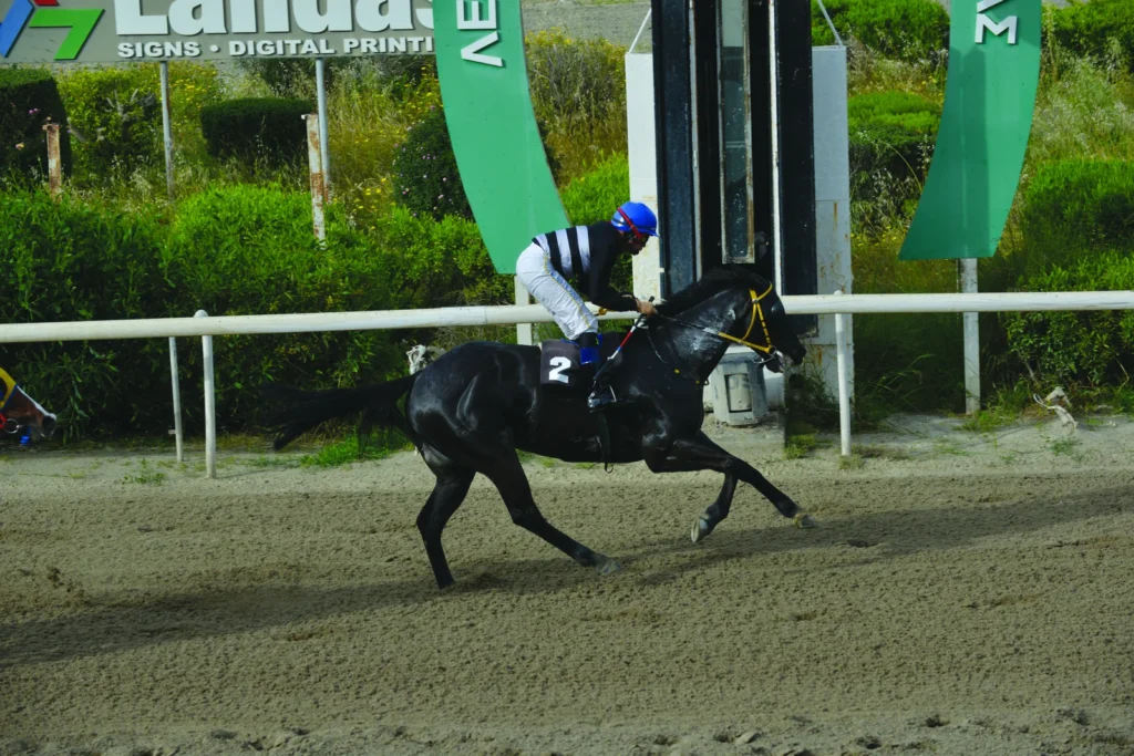 ΙΠΠΟΔΡΟΜΟΣ ΚΥΠΡΟΣ / IPPODROMOS KYPROS ΓΚΙΜΛΙ - 15/04/2026