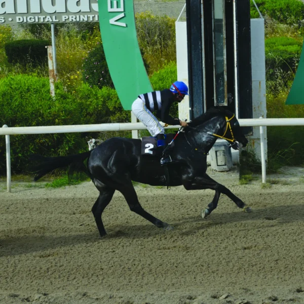 ΙΠΠΟΔΡΟΜΟΣ ΚΥΠΡΟΣ / IPPODROMOS KYPROS ΓΚΙΜΛΙ - 15/04/2026