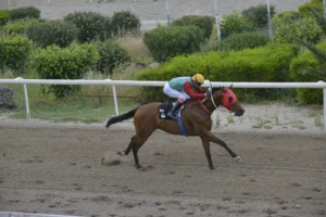 ΙΠΠΟΔΡΟΜΟΣ ΚΥΠΡΟΣ / IPPODROMOS KYPROS ΓΚΡΕΙΤ ΦΛΑΙ - 19/04/2026