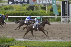 ΙΠΠΟΔΡΟΜΟΣ ΚΥΠΡΟΣ / IPPODROMOS KYPROS ΧΑΒΑΗ ΤΖΕΝΕΡΑΛ - 01/04/2026