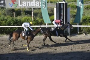 ΙΠΠΟΔΡΟΜΟΣ ΚΥΠΡΟΣ / IPPODROMOS  ΙΑΣΩΝΑΣ - 08/04/2026KYPROS