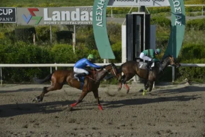 ΙΠΠΟΔΡΟΜΟΣ ΚΥΠΡΟΣ / IPPODROMOS KYPROS - ΚΟΥΝΙΕΡΗΣ - 13/04/2026