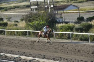 ΙΠΠΟΔΡΟΜΟΣ ΚΥΠΡΟΣ / IPPODROMOS KYPROS