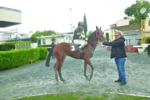 ΙΠΠΟΔΡΟΜΟΣ ΚΥΠΡΟΣ / IPPODROMOS KYPROS ΑΡΛΕΚΙΝΟΣ - 05/04/2026