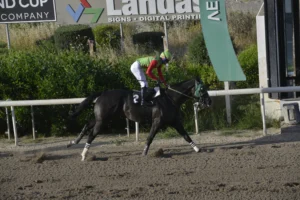 ΙΠΠΟΔΡΟΜΟΣ ΚΥΠΡΟΣ / IPPODROMOS KYPROS ΦΥΤΟΣ ΕΗΝΤΖΕΛ 26/04/2026