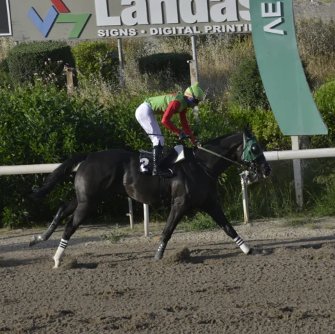 ΙΠΠΟΔΡΟΜΟΣ ΚΥΠΡΟΣ / IPPODROMOS KYPROS ΦΥΤΟΣ ΕΗΝΤΖΕΛ 26/04/2026