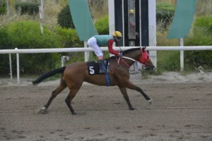 ΙΠΠΟΔΡΟΜΟΣ ΚΥΠΡΟΣ / IPPODROMOS KYPROS ΓΚΡΕΙΤ ΦΛΑΙ - 19/04/2026