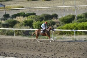 ΙΠΠΟΔΡΟΜΟΣ ΚΥΠΡΟΣ / IPPODROMOS KYPROS