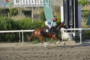 ΙΠΠΟΔΡΟΜΟΣ ΚΥΠΡΟΣ / IPPODROMOS KYPROS