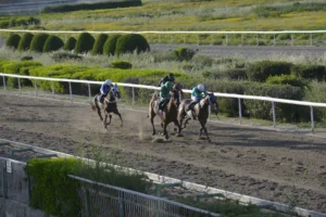 ΙΠΠΟΔΡΟΜΟΣ ΚΥΠΡΟΣ / IPPODROMOS KYPROS - ΧΑΒΑΗ ΜΠΟΣ - ΚΥΠΕΛΛΟ ΑΝΟΙΞΕΩΣ (Listed) - 13/04/2026