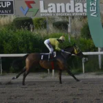 ΙΠΠΟΔΡΟΜΟΣ ΚΥΠΡΟΣ / IPPODROMOS KYPROS ΙΝΣΟΜΝΙΑ 26/04/2026