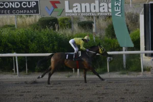 ΙΠΠΟΔΡΟΜΟΣ ΚΥΠΡΟΣ / IPPODROMOS KYPROS ΙΝΣΟΜΝΙΑ 26/04/2026