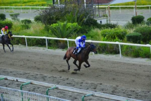 ΙΠΠΟΔΡΟΜΟΣ ΚΥΠΡΟΣ / IPPODROMOS KYPROS ΚΑΠΕΤΑΝ ΜΙΧΑΛΗΣ - 15/04/2026