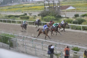 ΙΠΠΟΔΡΟΜΟΣ ΚΥΠΡΟΣ / IPPODROMOS KYPROS ΚΑΡΑΜΠΙΝΑ - 19/04/2026