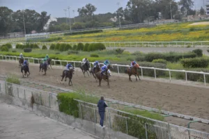 ΙΠΠΟΔΡΟΜΟΣ ΚΥΠΡΟΣ / IPPODROMOS KYPROS