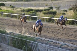 ΙΠΠΟΔΡΟΜΟΣ ΚΥΠΡΟΣ / IPPODROMOS KYPROS