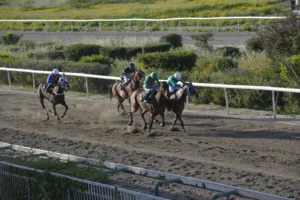 ΙΠΠΟΔΡΟΜΟΣ ΚΥΠΡΟΣ / IPPODROMOS KYPROS - ΧΑΒΑΗ ΜΠΟΣ - ΚΥΠΕΛΛΟ ΑΝΟΙΞΕΩΣ (Listed) - 13/04/2026