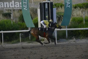 ΙΠΠΟΔΡΟΜΟΣ ΚΥΠΡΟΣ / IPPODROMOS KYPROS ΙΝΣΟΜΝΙΑ 26/04/2026
