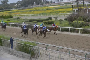 ΙΠΠΟΔΡΟΜΟΣ ΚΥΠΡΟΣ / IPPODROMOS KYPROS ΚΕΡΚΥΡΑ - ΚΥΠΕΛΛΟ 1ης ΑΠΡΙΛΙΟΥ - 01/04/2026