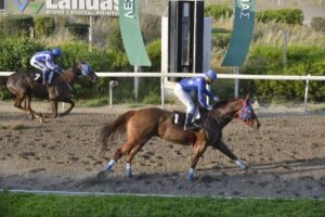 ΙΠΠΟΔΡΟΜΟΣ ΚΥΠΡΟΣ / IPPODROMOS KYPROS