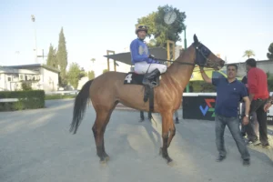 ΙΠΠΟΔΡΟΜΟΣ ΚΥΠΡΟΣ / IPPODROMOS KYPROS ΑΡΤΕΜΙΔΑ - 29/04/2026