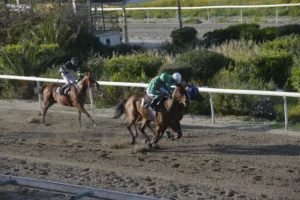 ΙΠΠΟΔΡΟΜΟΣ ΚΥΠΡΟΣ / IPPODROMOS KYPROS