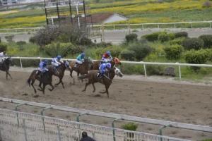 ΙΠΠΟΔΡΟΜΟΣ ΚΥΠΡΟΣ / IPPODROMOS KYPROS ΚΕΡΚΥΡΑ - ΚΥΠΕΛΛΟ 1ης ΑΠΡΙΛΙΟΥ - 01/04/2026