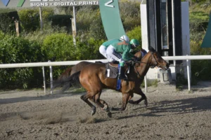 ΙΠΠΟΔΡΟΜΟΣ ΚΥΠΡΟΣ / IPPODROMOS KYPROS - ΧΑΒΑΗ ΜΠΟΣ - ΚΥΠΕΛΛΟ ΑΝΟΙΞΕΩΣ (Listed) - 13/04/2026