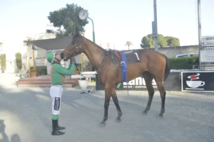 ΙΠΠΟΔΡΟΜΟΣ ΚΥΠΡΟΣ / IPPODROMOS KYPROS - ΧΑΒΑΗ ΜΠΟΣ - ΚΥΠΕΛΛΟ ΑΝΟΙΞΕΩΣ (Listed) - 13/04/2026