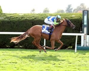 ΙΠΠΟΔΡΟΜΟΣ ΚΥΠΡΟΣ / IPPODROMOS KYPROS