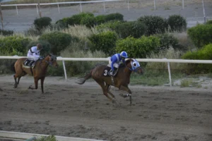 ΙΠΠΟΔΡΟΜΟΣ ΚΥΠΡΟΣ / IPPODROMOS KYPROS ΑΝΖ ΝΤ ΑΜΟΥΡ - 26/04/2026