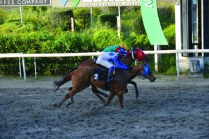 ΙΠΠΟΔΡΟΜΟΣ ΚΥΠΡΟΣ / IPPODROMOS KYPROS ΑΡΣΕΝ ΛΟΥΠΑΝ - 05/04/2026