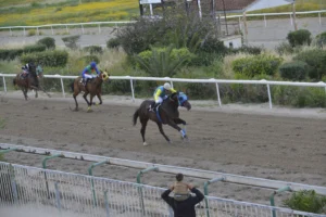 ΙΠΠΟΔΡΟΜΟΣ ΚΥΠΡΟΣ / IPPODROMOS KYPROS ΚΡΙΣΤΙΑΝ - 19/04/2026