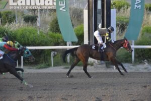 ΙΠΠΟΔΡΟΜΟΣ ΚΥΠΡΟΣ / IPPODROMOS KYPROS