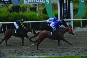 ΙΠΠΟΔΡΟΜΟΣ ΚΥΠΡΟΣ / IPPODROMOS KYPROS ΨΕΥΤΡΑ - 15/04/2026