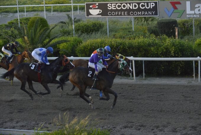 ΙΠΠΟΔΡΟΜΟΣ ΚΥΠΡΟΣ / IPPODROMOS KYPROS ΨΗΛΟΣ - 08/04/2026