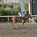 ΙΠΠΟΔΡΟΜΟΣ ΚΥΠΡΟΣ / IPPODROMOS KYPROS ΤΑΡΑΣ ΚΙΝΓΚ - 29/04/2026