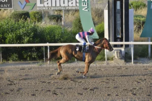 ΙΠΠΟΔΡΟΜΟΣ ΚΥΠΡΟΣ / IPPODROMOS KYPROS ΤΑΡΑΣ ΚΙΝΓΚ - 29/04/2026