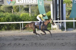 ΙΠΠΟΔΡΟΜΟΣ ΚΥΠΡΟΣ / IPPODROMOS KYPROS - ΤΕΝΤΙ ΜΠΟΙ - 13/04/2026