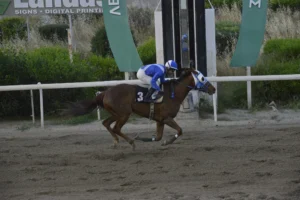 ΙΠΠΟΔΡΟΜΟΣ ΚΥΠΡΟΣ / IPPODROMOS KYPROS ΑΝΖ ΝΤ ΑΜΟΥΡ - 26/04/2026