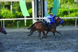 ΙΠΠΟΔΡΟΜΟΣ ΚΥΠΡΟΣ / IPPODROMOS KYPROS