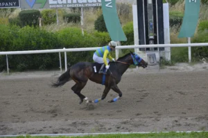 ΙΠΠΟΔΡΟΜΟΣ ΚΥΠΡΟΣ / IPPODROMOS KYPROS ΚΡΙΣΤΙΑΝ - 19/04/2026