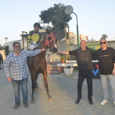 ΙΠΠΟΔΡΟΜΟΣ ΚΥΠΡΟΣ / IPPODROMOS KYPROS